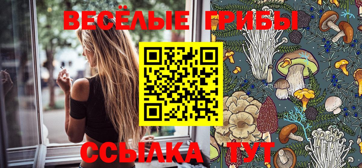 Галлюциногенные грибы Psilocybine cubensis  Галлюциногенные грибы GOLDEN TEACHER  Вход с VPN  Россия 